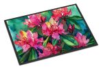 NEW West Virginia Rhododendrons in Watercolor Doormat Front Door Mat Indoor Outdoor Rugs for Entryway, Non Slip Washable Low Pile, 18H X 27W