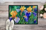 NEW Tennessee Iris in Watercolor Doormat Front Door Mat Indoor Outdoor Rugs for Entryway, Non Slip Washable Low Pile, 18H X 27W