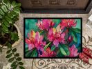 NEW West Virginia Rhododendrons in Watercolor Doormat Front Door Mat Indoor Outdoor Rugs for Entryway, Non Slip Washable Low Pile, 18H X 27W